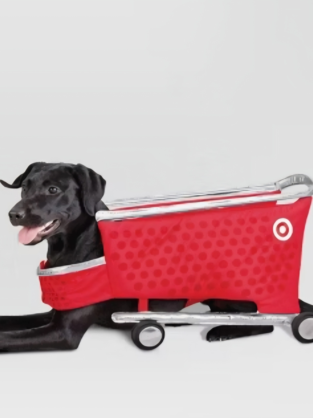 Target Shopping Cart Dog Pet Halloween Costume Size Large & XLarge